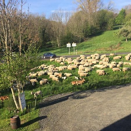 Cote Puy-De Dome Bed & Breakfast Orcines Exterior foto
